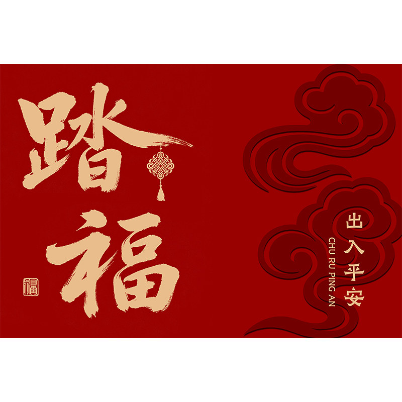 新年红色入户门地垫喜庆进门脚垫门口轻奢高级感门垫进宅入户地毯