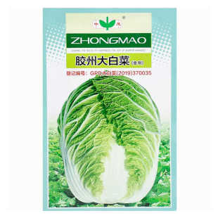 山东胶州大白菜种子秋季种籽冬储胶东春夏秋四季白菜籽农家蔬菜孑