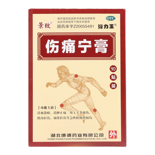 景致伤痛宁膏10贴活血散瘀消肿止痛关节扭伤肌肉韧带拉伤