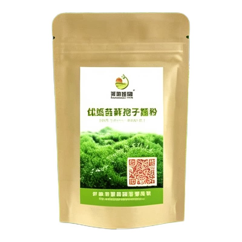 苔藓青苔植物种子吸水上水石盆栽