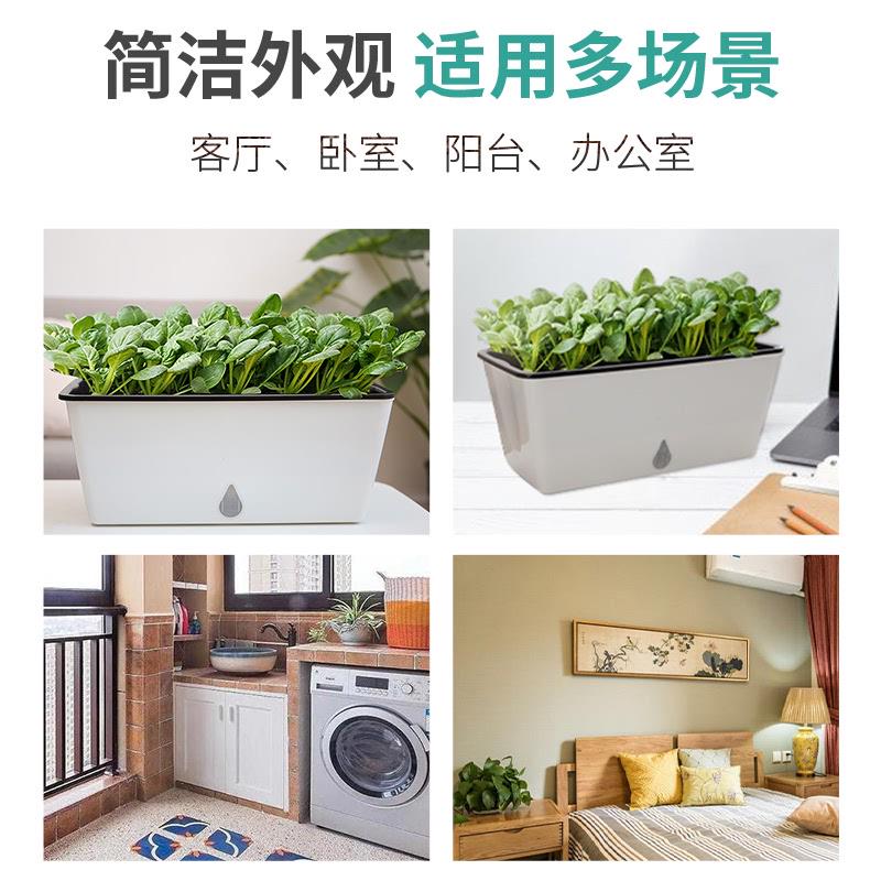 懒人自动吸水种菜盆长条方形花盆蔬菜种植箱家庭阳台花槽多肉养花