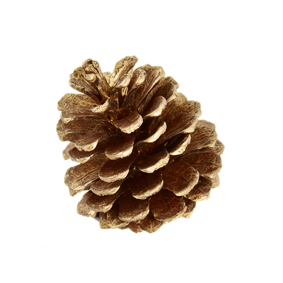 圣诞用品天然金色松果色吊顶挂饰
