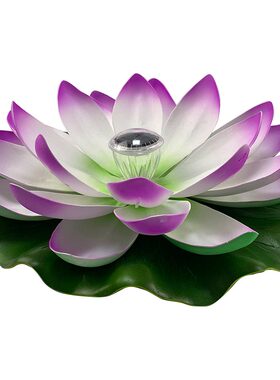 荷花灯许愿灯艺尚城太阳能户外