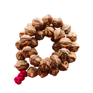 柏见出品福利红油红芽横打百香籽单圈手串手持天然原皮脏脏柏香籽