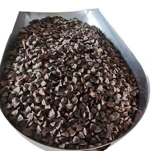 甜苦荞麦种子黑荞麦乔麦种子三角麦蜜源种子原种高产播种四季种植