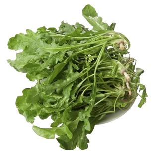 【现挖现发】新鲜野荠菜新鲜荠荠菜湖北新鲜野地菜饺子馄饨荠菜馅