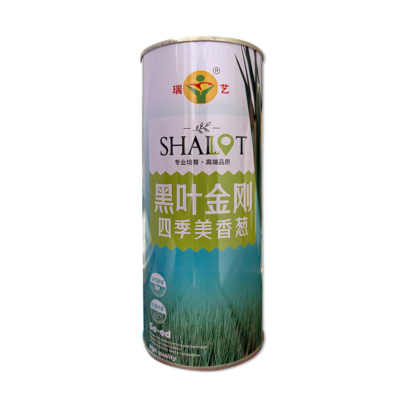 瑞艺黑叶金刚四季美香葱种子