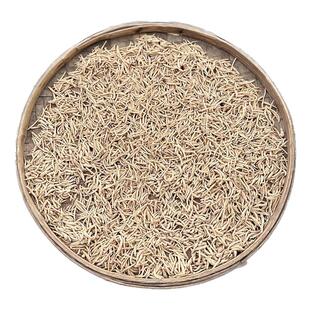 野生太子参孩儿参童参250g儿童煲汤料农家自晒无硫滋补中药材正品