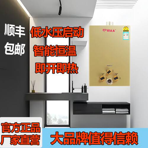 德福好太太燃气热水器液化气电池煤气罐天然气强排式低水压恒温式