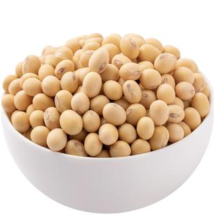 【规格齐全】非转基因黄豆老品种黄豆农家自种土黄豆五谷杂粮煮粥