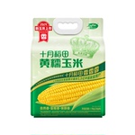 十月稻田黄金玉米段8cm低脂小黄糯玉米香甜糯东北黏苞米真空袋装