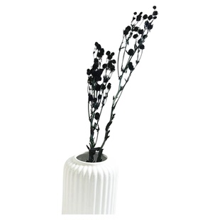 黑色永生花花材蓬莱松龙须草尤加利情人果情人草富贵竹剑齿配材