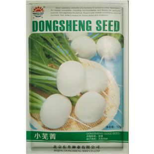 小芜菁种子水果萝卜子农家四季播春夏秋季蔬菜种孑夏秋季蔬菜种籽
