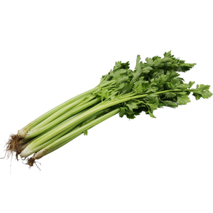 土芹菜种子四季芹菜香芹苗四季小芹菜种籽蔬菜孑野菜春季种籽农家