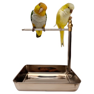 虎皮玄凤牡丹八哥不锈钢鹦鹉站架桌面训练互动架脚链脖套外出站架