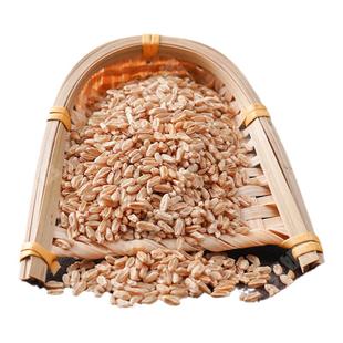 【芬姐精选】浮小麦自然晾晒止盗汗手脚虚汗中药材泡茶泡水干货