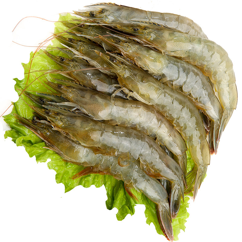 青岛鲜活急冻大虾海捕虾鲜虾500g