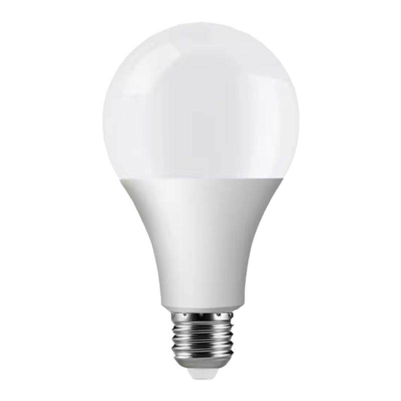 12v24V36v低压照明灯泡