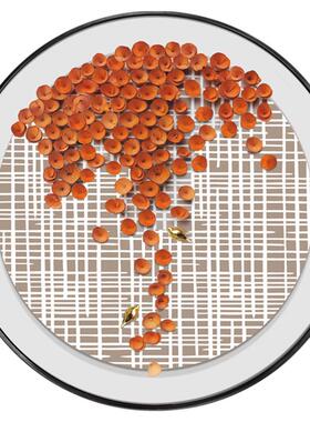 新中式入户玄关圆形立体实物挂画