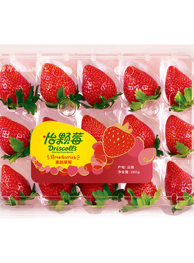 怡颗莓云南素颜草莓新鲜水果