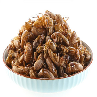 中药材蝉蜕100克至500克可磨粉蝉衣知了壳蝉脱自然脱落水洗好蝉蜕