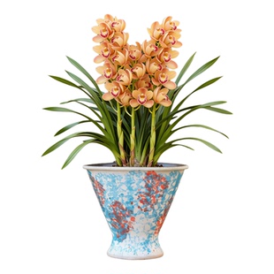 大号三角梅专用花盆陶瓷兰花户外庭院大口径多肉植物大盆彩色异形