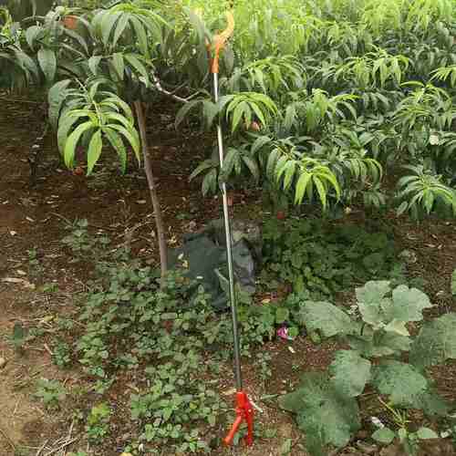 塑料把手摘果器三杆桃器器长高空采摘米采果采果水果1.5爪器摘