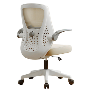 人体工学椅家用电脑椅舒适久坐办公椅书桌椅学习椅中小学生写字椅