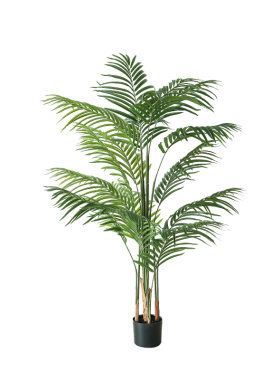 仿真植物散尾葵北欧风落地假绿植