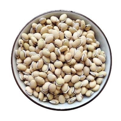 25年新货上市正宗云南药用小扁豆