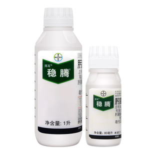 拜耳 稳腾30%肟菌酯戊唑醇玉米小麦水稻稻瘟病白粉病大斑病杀菌剂