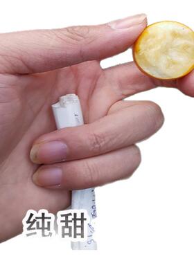 带果纯甜食用脆蜜金桔树树苗盆栽地栽南北方小橘子果苗四季金桔苗