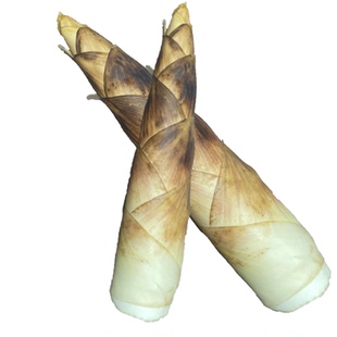 临安雷笋新鲜现挖浙江天目山野生带壳春笋黄泥笋冬笋时令蔬菜鲜嫩