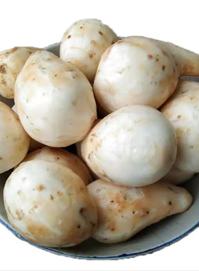 重庆农家新鲜芋儿毛芋头蔬菜