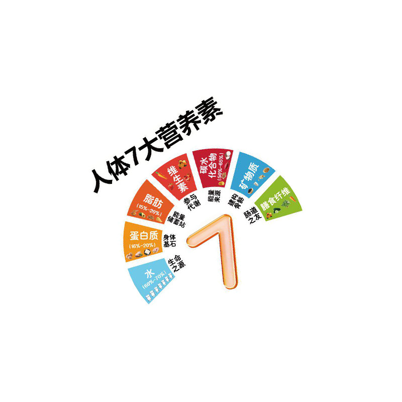 人体7大营养素健康饮食文化墙面装饰食堂养老医院海报宣传科普贴