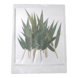 酒吧饮品调酒装饰枫叶竹叶干花叶子鸡尾酒装饰物酒杯签酒签植物标