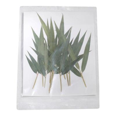 干花叶子鸡尾酒装饰物