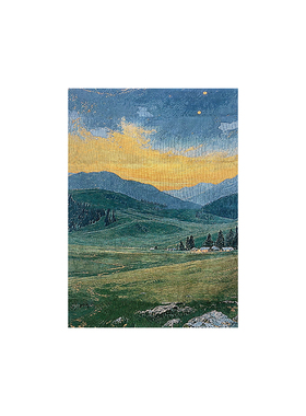 TaoMu 旷野与星 氛围感挂毯画客厅沙发装饰画玄关入户手工DIY挂画