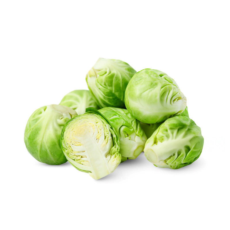 四季高产孢子甘蓝苗秧紫孢子卷心菜包菜多茬采收阳台盆栽庭院种植