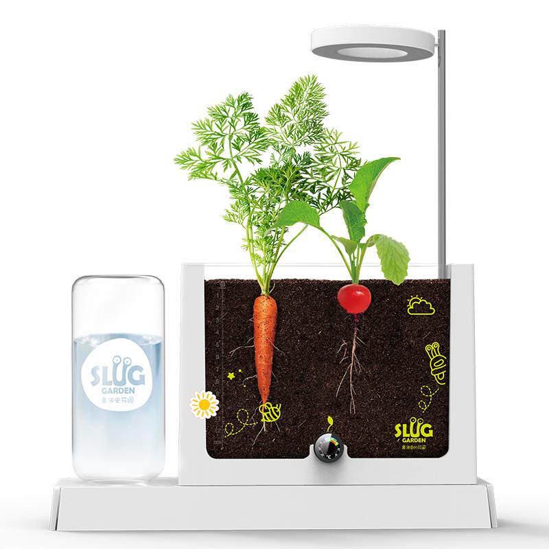 儿童植物种植阳光房种植观察窗科学实验套装diy花种子种植小盆栽