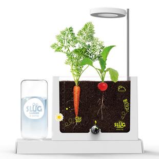 儿童植物种植阳光房种植观察窗科学实验套装diy花种子种植小盆栽