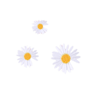 权志龙同款雏菊小菊花刺绣自粘布贴衣服高帮帆布鞋手帐装饰补丁贴