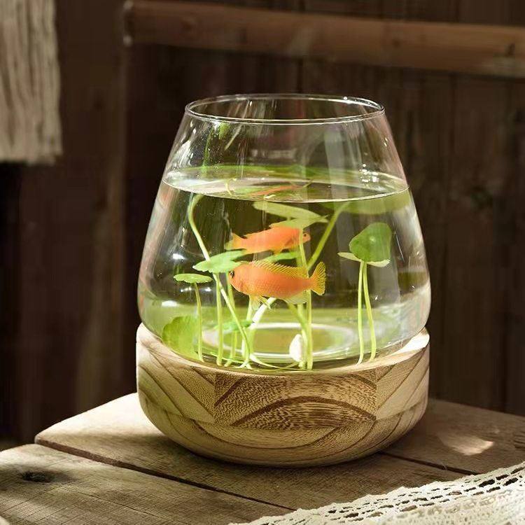 日式花瓶透明玻璃客厅插花萝水器皿摆件水鱼缸生态植物养桌面绿培