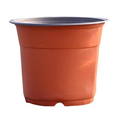 育苗盆双色盆一次性塑料盆