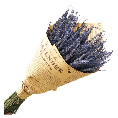 天然薰衣草干花束家居装饰新疆