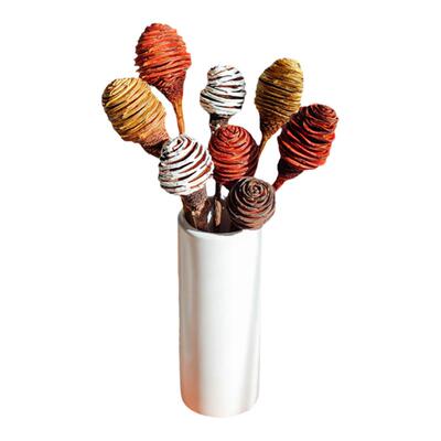 非洲螺旋果进口干花酒吧婚房真花