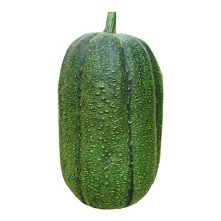 台湾苹果丝瓜种子菜瓜种籽盆栽籽种四季播蔬菜菜籽孑苗秧菜种水瓜