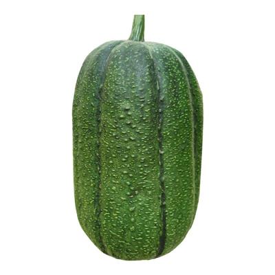 台湾青苹苹果丝瓜种子菜瓜