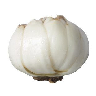 甘肃兰州百合新鲜食用甜百合农家特产水果百合500g特级包邮