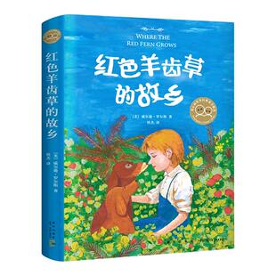 红色羊齿草的故乡 爱心树童书6-9-12岁少儿童成长励志课外故事书 儿童文学短篇小说青少年动物小说 凤凰新华书店旗舰店